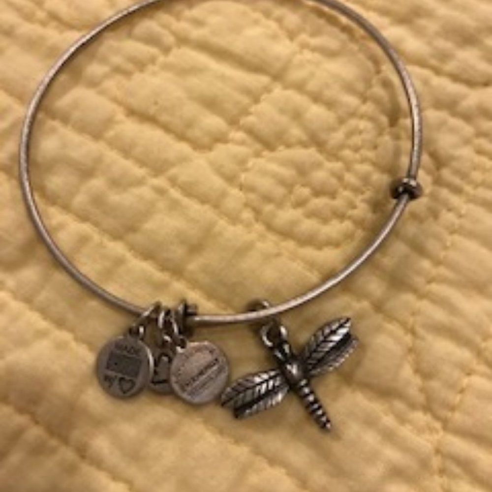 Dragonfly Bracelet by Alex and Ani